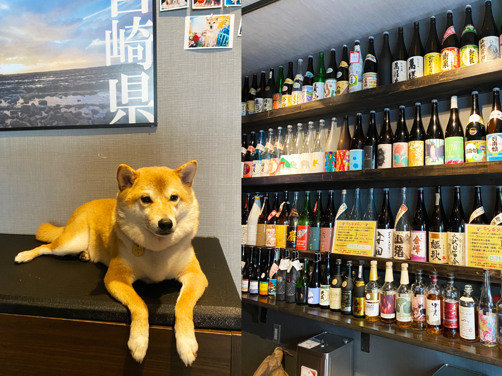 ニチヨウビのお酒と看板犬